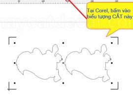 Tình trạng máy cắt Decal Mimaki CG-60SRIII tuôn giấy khi cắt xong